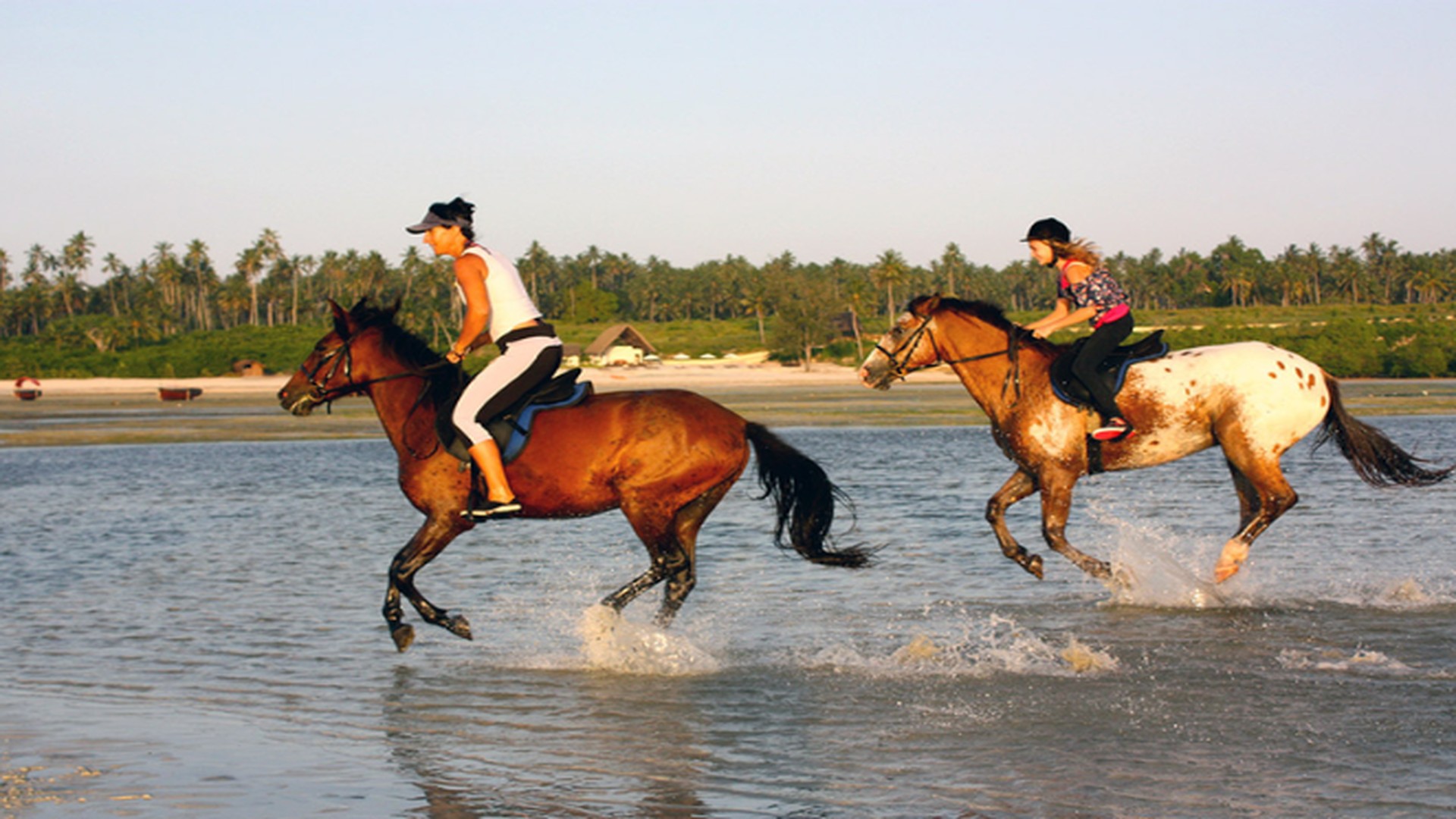 12 Days Tanzania Safari and Zanzibar Honeymoon