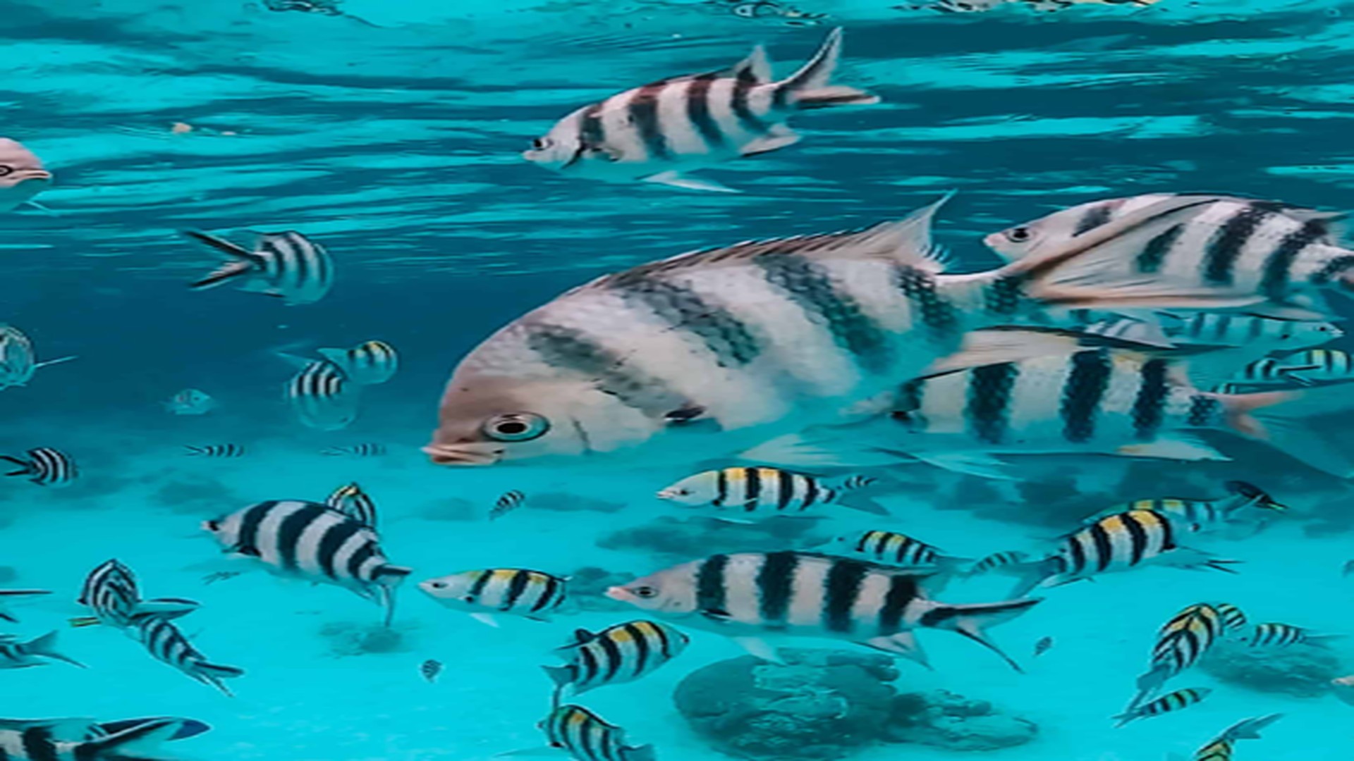 5 Days Zanzibar Beach Holiday