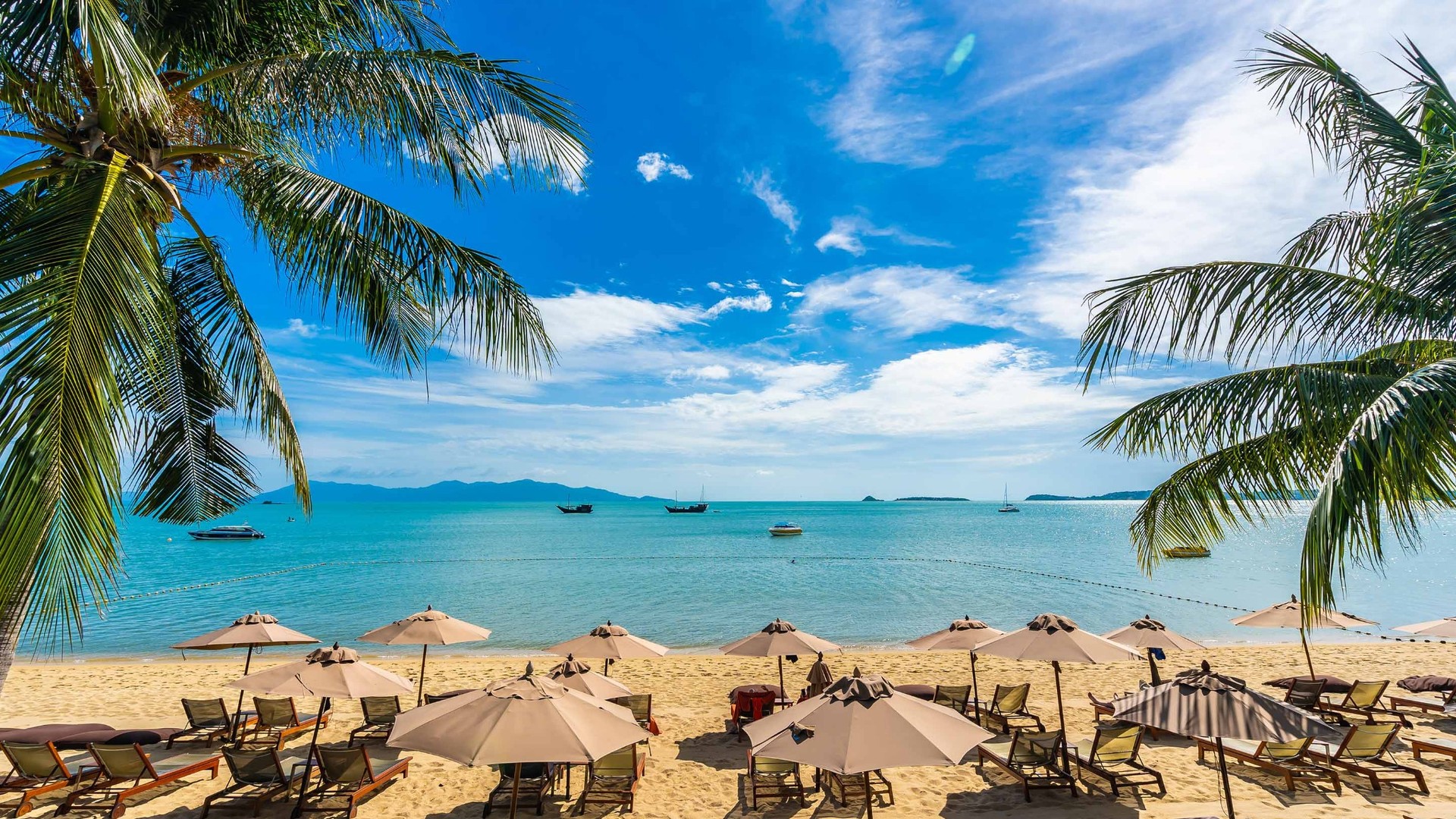 1 Day Zanzibar Dolphin Tour