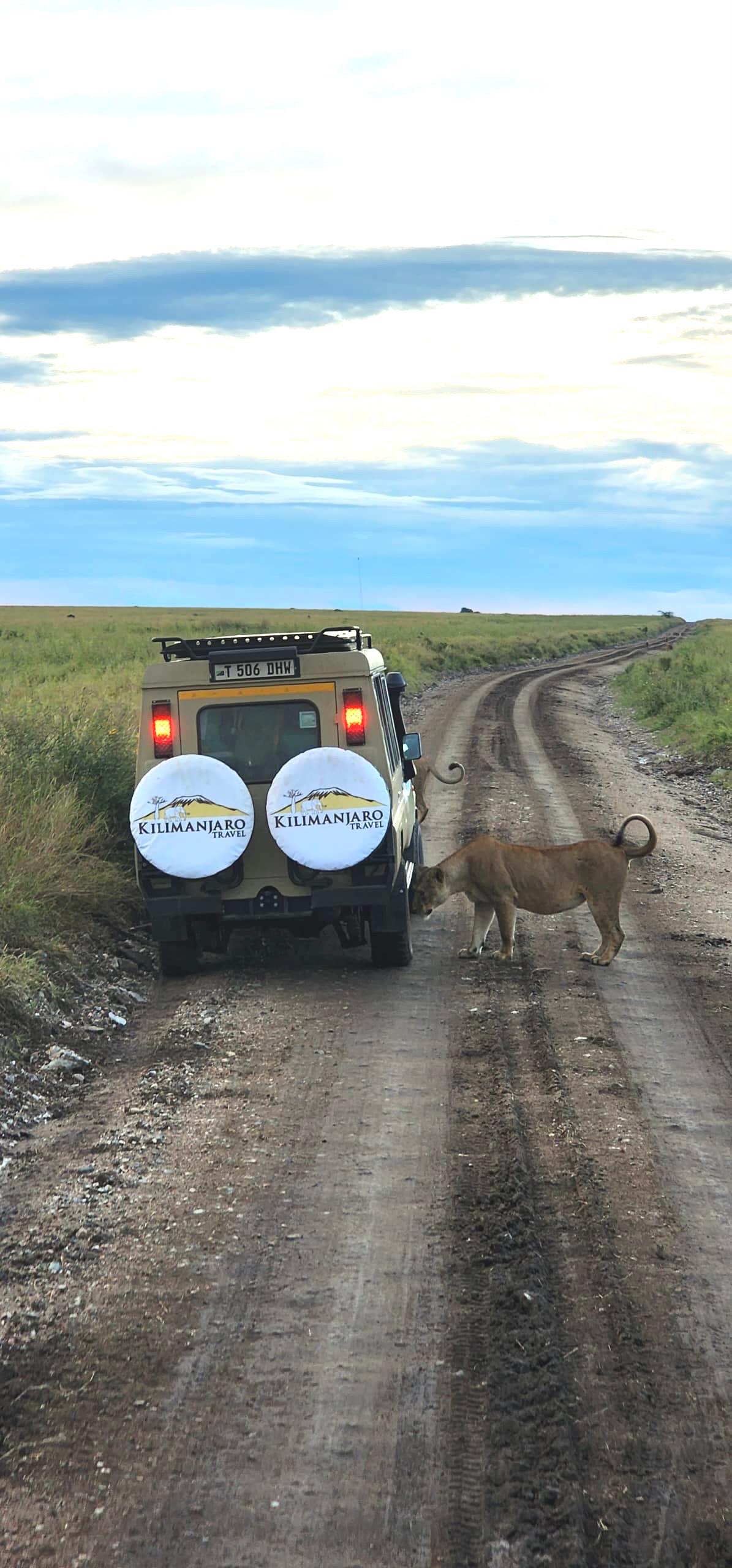 3 Days Serengeti & Ngorongoro