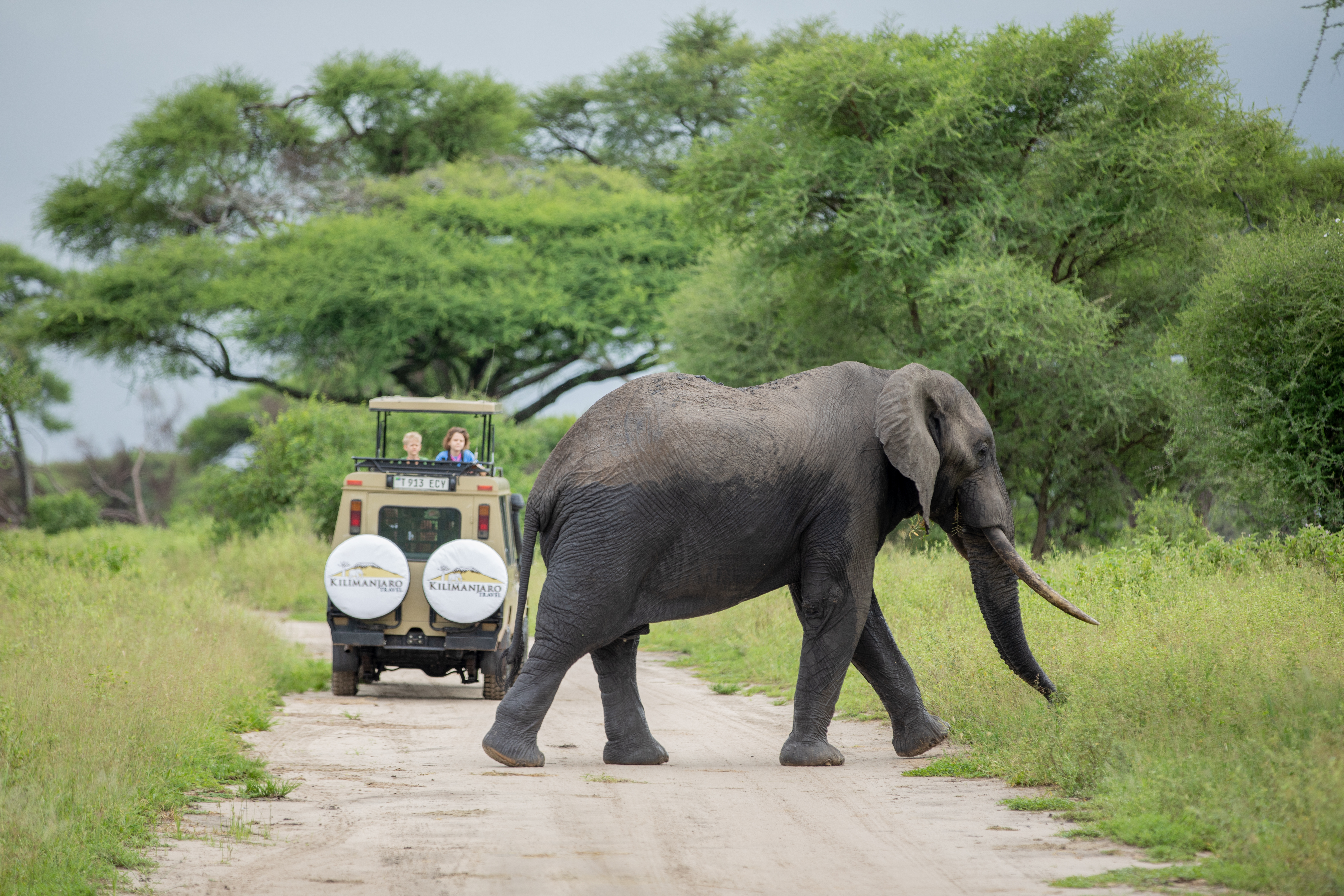 Kilimanjaro Travel safari vehicle