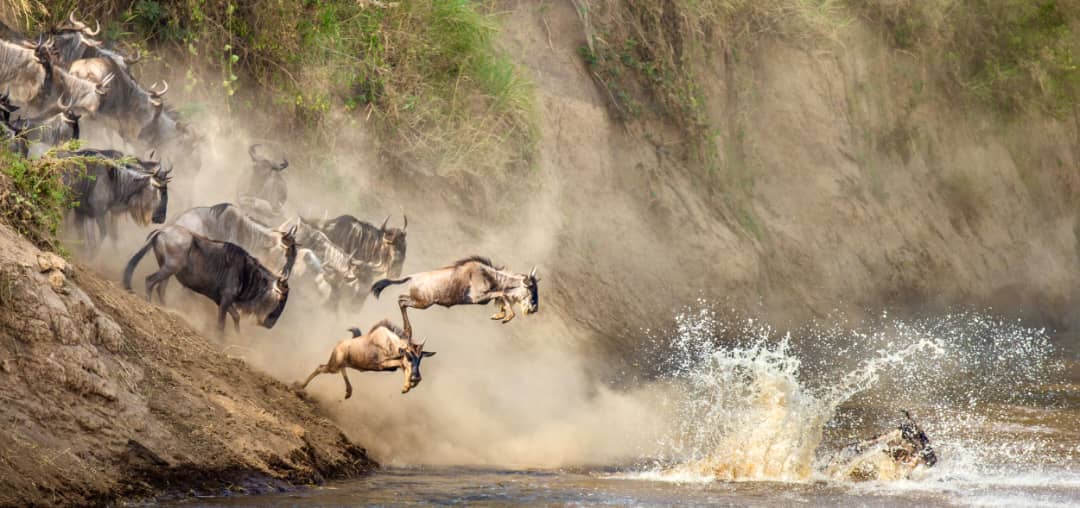 7 Days Great Migration Safari