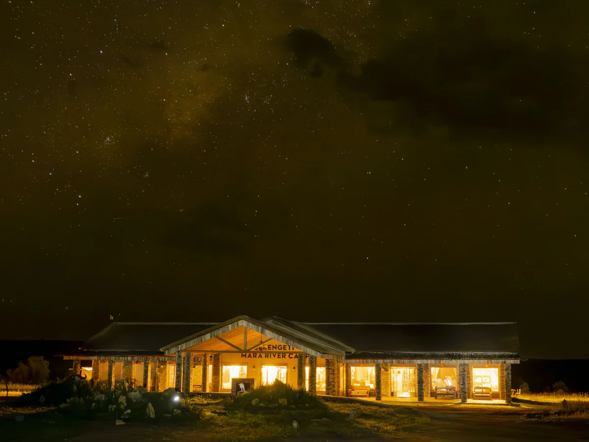 Kilimanjaro Travel trekking and safari specialists